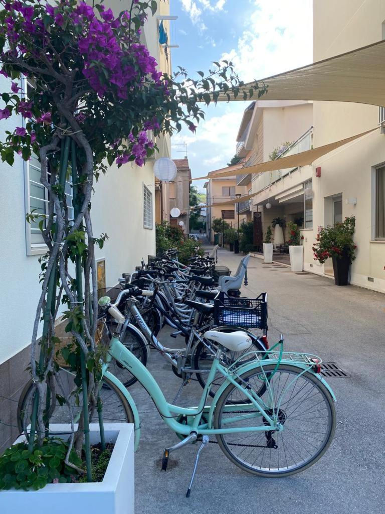 Hotel Miramare Pineto